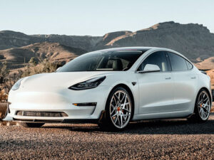 hillsborough county ev repairs, electric car service 